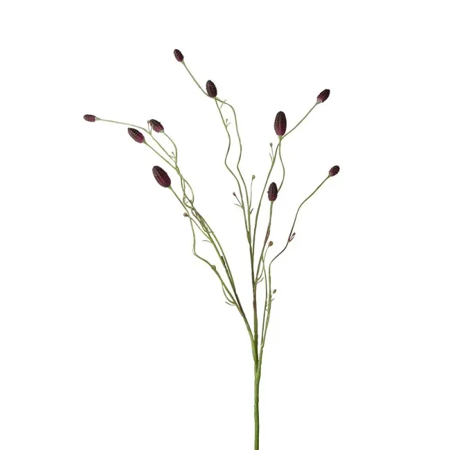 Gałązka Pimpinell 80cm