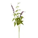 Lavender Branch 70cm Purple - 1