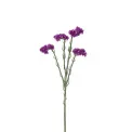 Gałązka zatrwian 60cm fioletowy - 1