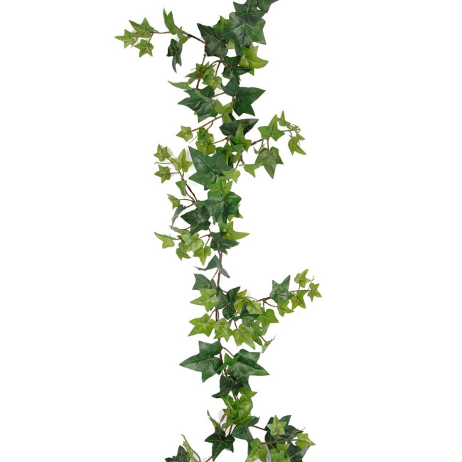 Ivy 120cm