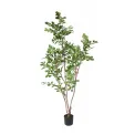 Oak Tree 170cm - 1