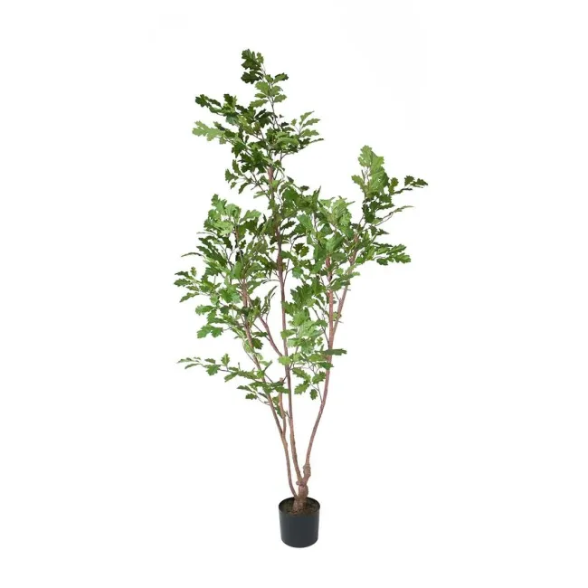 Oak Tree 170cm - 1