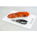 Seafood Scissors 18,5cm  - 4