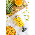 Pineapple Corer - 3