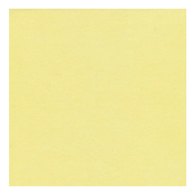 Napkins 40cm Uni Citrus