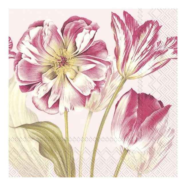 Napkins 33x33cm Majestetic Tulips Rose 20 pcs