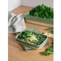 Grande Dish 21x14x4.3cm Sage - 4