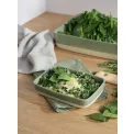 Grande Dish 36x26x7.5cm Sage - 3