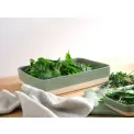 Grande Dish 36x26x7.5cm Sage - 4