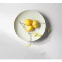 Bowl Japandi Home 35x7cm Soft Shell - 2