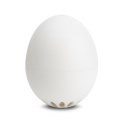 Śpiewające jajko BeepEgg classic white - 4