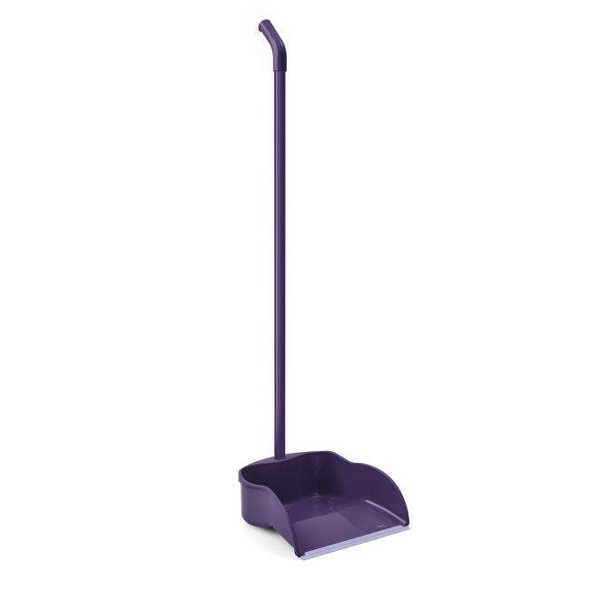 Dustpan with Handle - 1