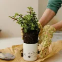 Mug Garden 10x8cm - 5