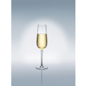 Set of 4 Rose Garden champagne glasses 280ml - 11