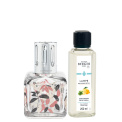Leaf Cube scent lamp set + 250ml 'Citrus Peel' scented oil - 1