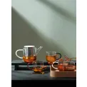 Czajnik Coppa Glass 1,1l do herbaty czarny - 4