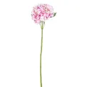 hydrangea 67cm light pink - 1