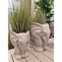 flowerpot Elephant 38x30x39cm cream - 2