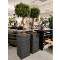 flowerpot Graffiti 70x33x33cm black - 2
