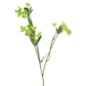Waxblume 64cm - 1