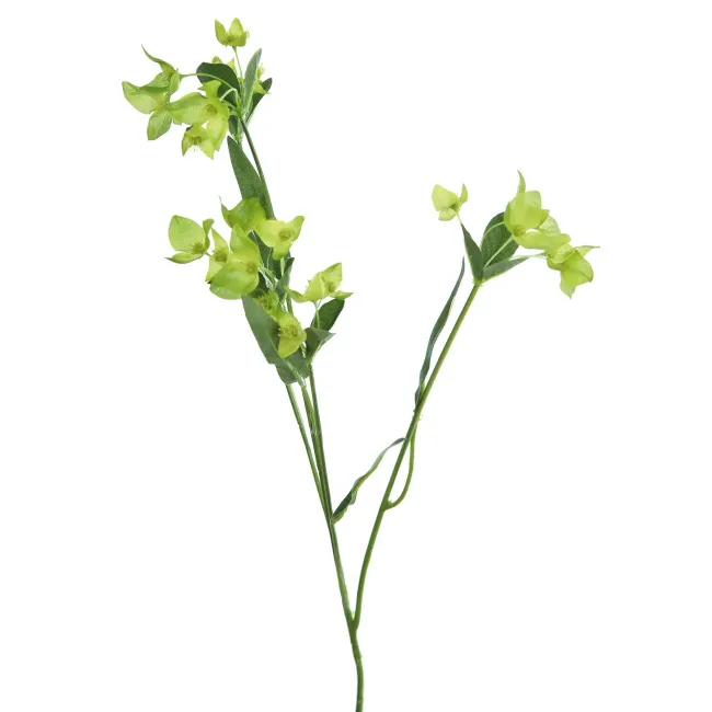 Waxblume 64cm