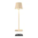 lamp Troll Nano 1200mAh 1.6W 165lm 2200-3000K (battery + charger) sand - 3