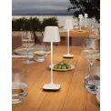 lamp Capri LED 3000mAh 2.5W 225lm 2200-2700K (battery + charger) white - 4