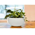 Donica Misa Creastone 20x40cm rozmiar M sandy white - 4