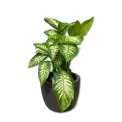 flowerpot Globe creastone 27x35,5cm size S black - 4