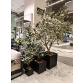 Flowerpot Cubic 30cm S sandstone anthracite - 2