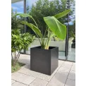 Flowerpot Cubic 60cm XL sandstone anthracite - 4