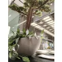 Donica Boat 70x34x25cm L light cement - 2