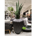 Donica Cactus 88x66cm XL antracyt - 2
