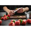 knife Enno 10 cm for vegetables and fruits - 4