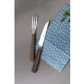 Set of 2 cutlery Texas for steak  - 7