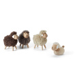 Decorative figurine sheep Flocke - 2