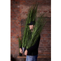 Grass in a pot 135cm - 3