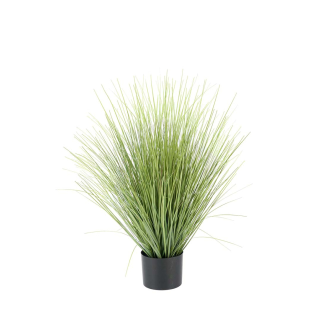 Grass in a pot 80x14cm - 1