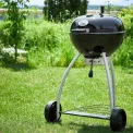 Grill Belly No.1 F50 - 4