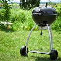 Grill Belly No.1 F50 - 3