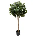 Laurel Tree 150cm - 1
