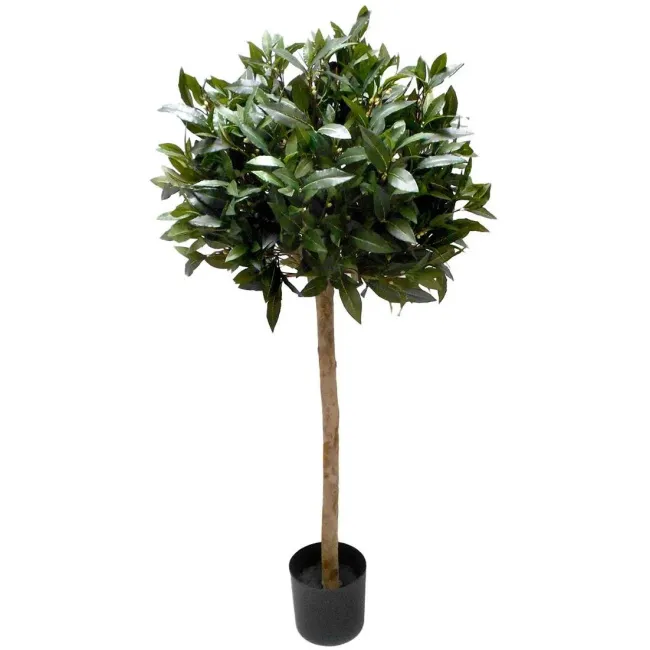 Laurel Tree 150cm