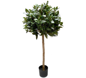 Drzewko Laurowe 150cm