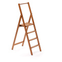 Ladder Kimora - 1