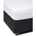 sheet Molton 160x220cm with elastic band white - 3