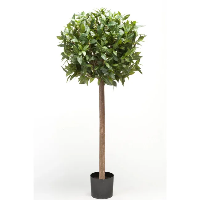 Laurel tree 120cm