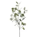 Eucalyptus 87cm - 1