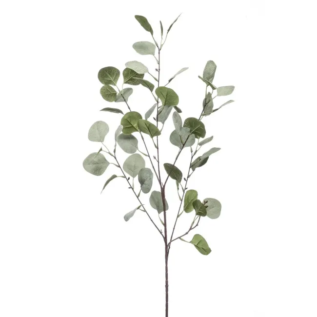 Eukaliptus 87cm