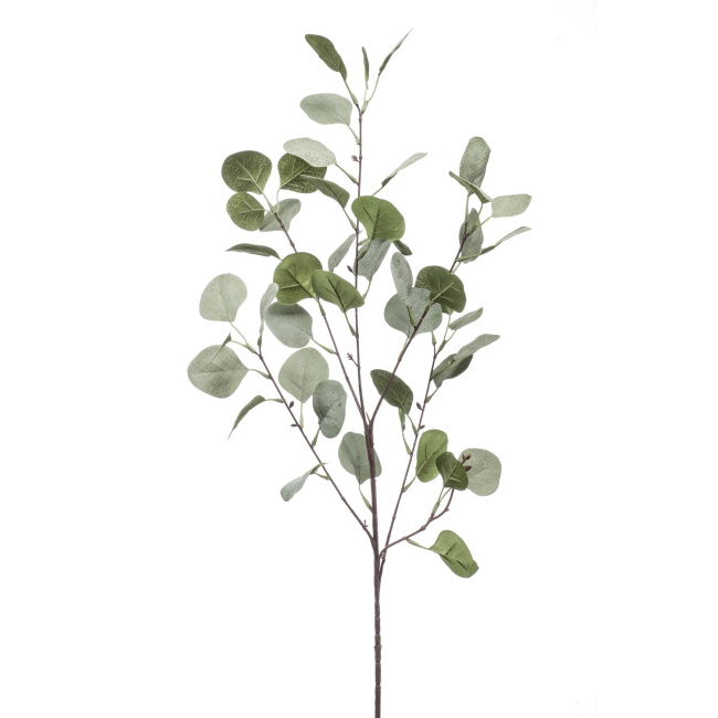 Eucalyptus 87cm