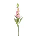 Foxglove 92cm pink - 1